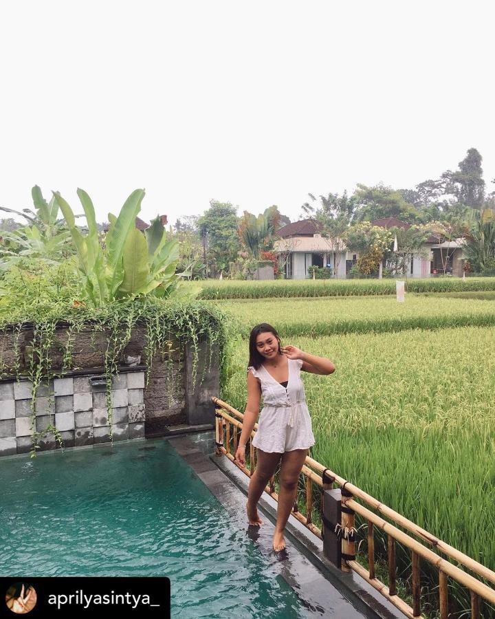 Nirankara Private Pool Villa - By Ubud Paradise Luaran gambar
